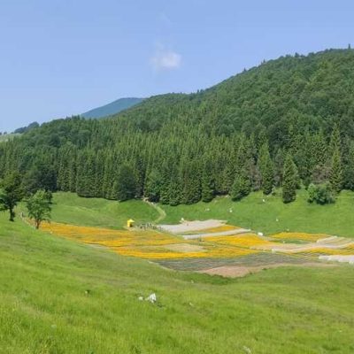 Foto 5 — Piancavallo